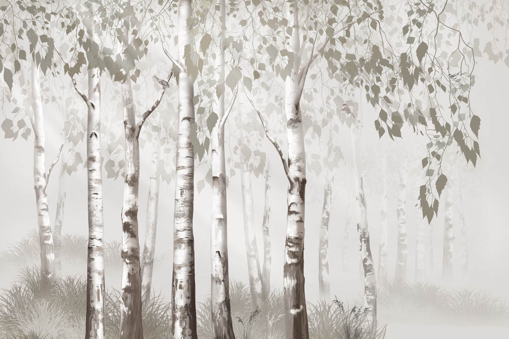 Фотообои Березовый лес серый