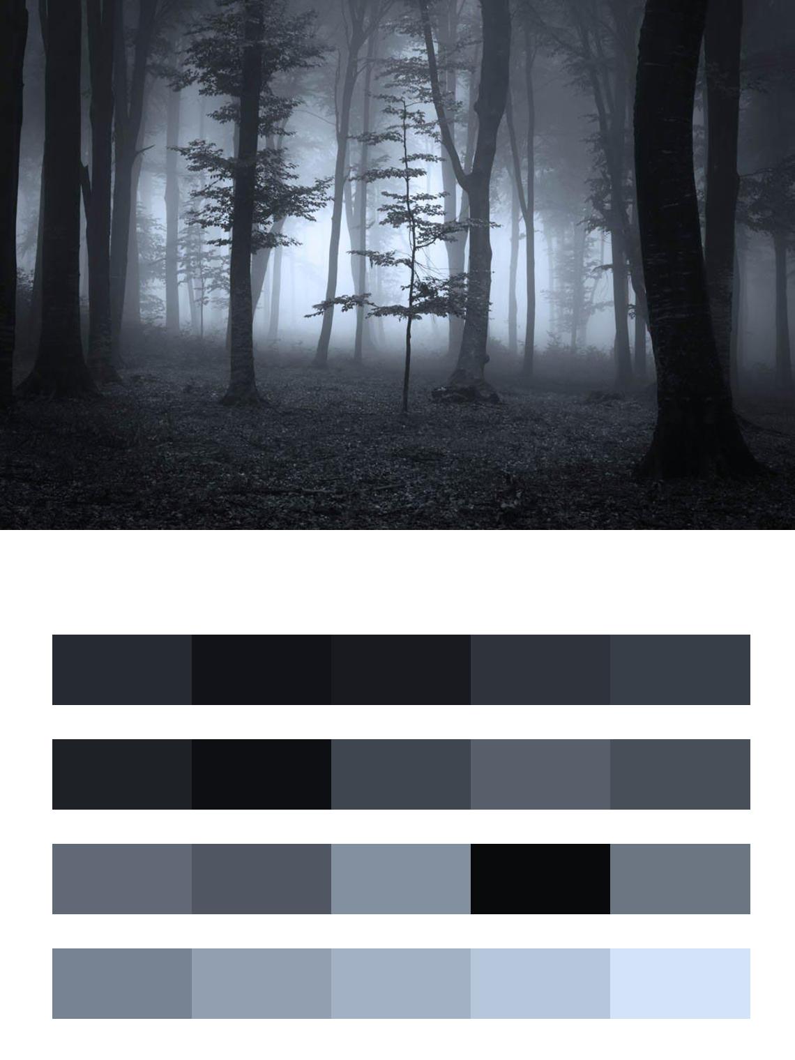 Темный лес цвета
